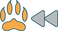 Paws & Rewind logo featuring an orange paw print beside a double rewind symbol in grey with teal outline.